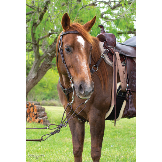 Circle Y Classic Floral Browband Headstall