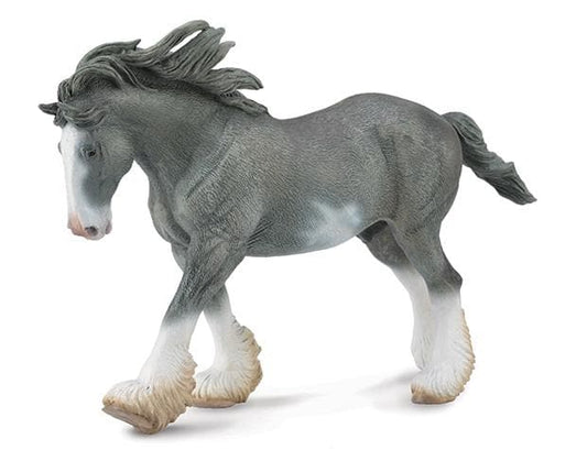 Black Sabino Roan Clydesdale Stallion