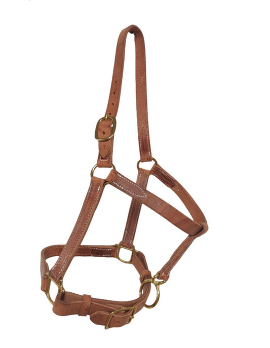 Berlin Custom Leather Yearling Halter