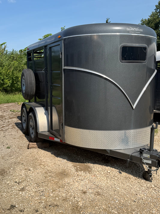 2021 Calico 2 Horse Slant