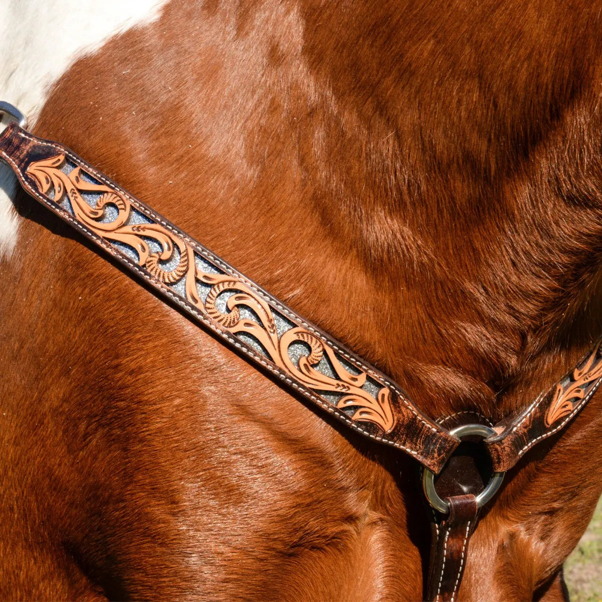Circle Y Glitters in Motion Breast Collar