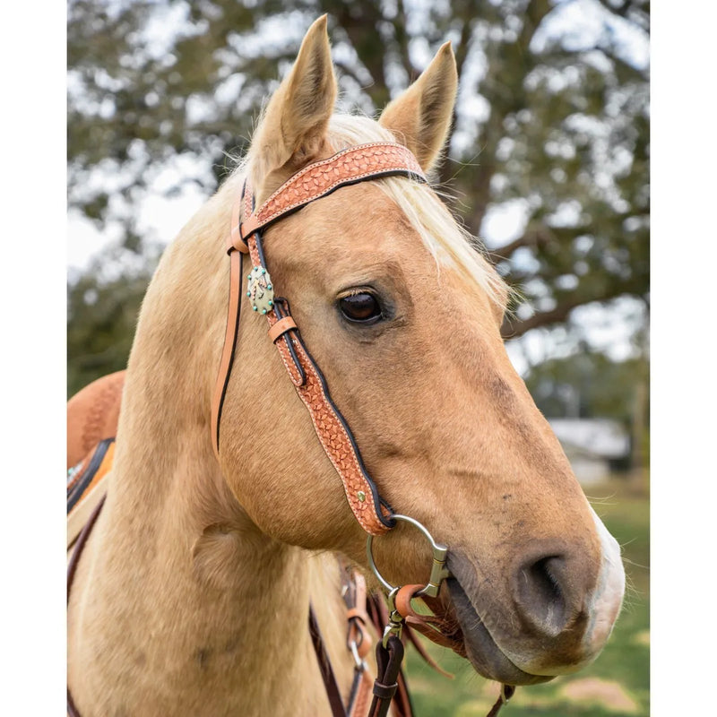 Circle Y Windsor Lite Oil Browband Headstall
