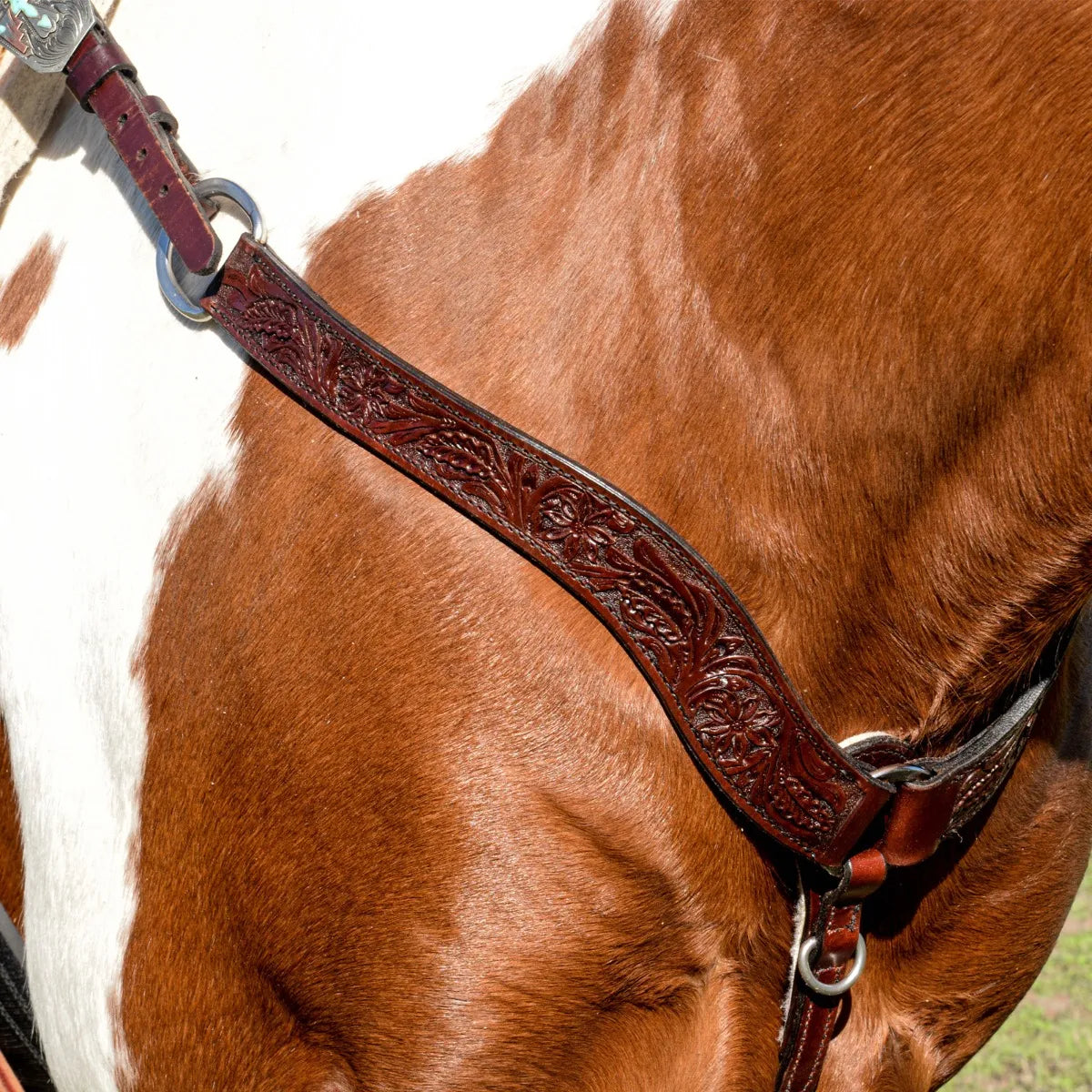 Circle Y 1/2" Great Oak Walnut Breast Collar