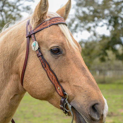 Circle Y Montana Vintage Browband Headstall