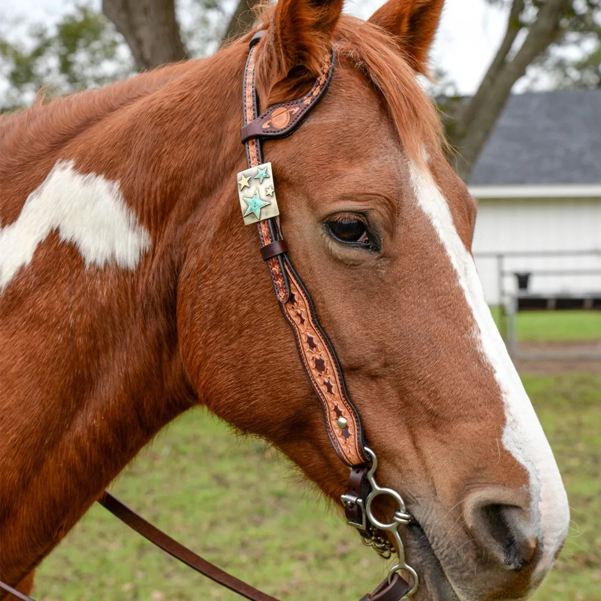 Circle Y Saturn Rising Vintage One Ear Headstall