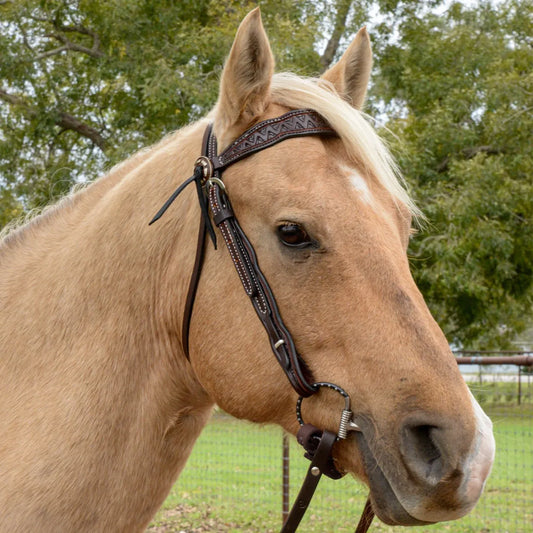 Circle Y Bluestem Browband Headstall