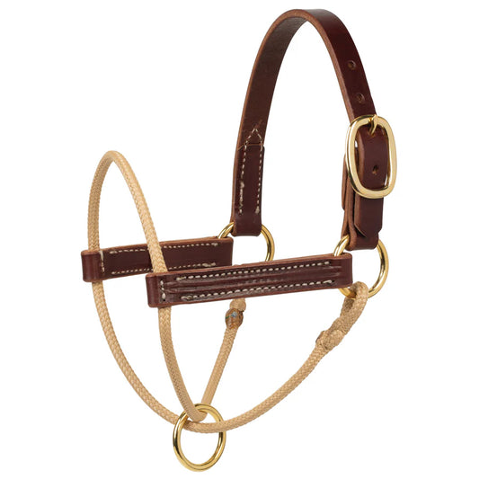 Weaver Horseman's Foal Halter