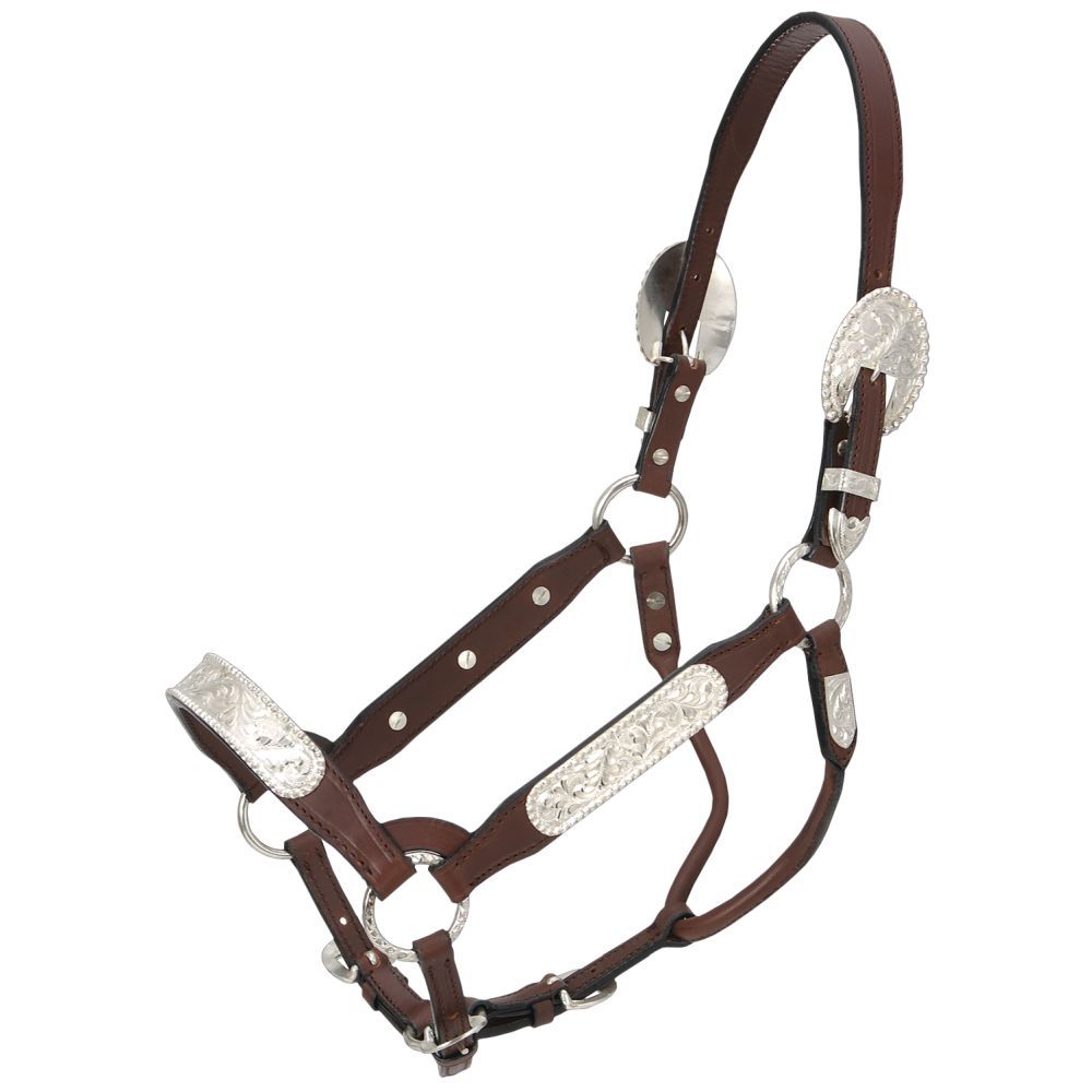 Royal King Berry Edge Congress Show Halter