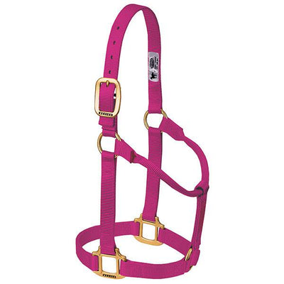 Weaver Original Non-Adjustable Yearling Halter, 1"