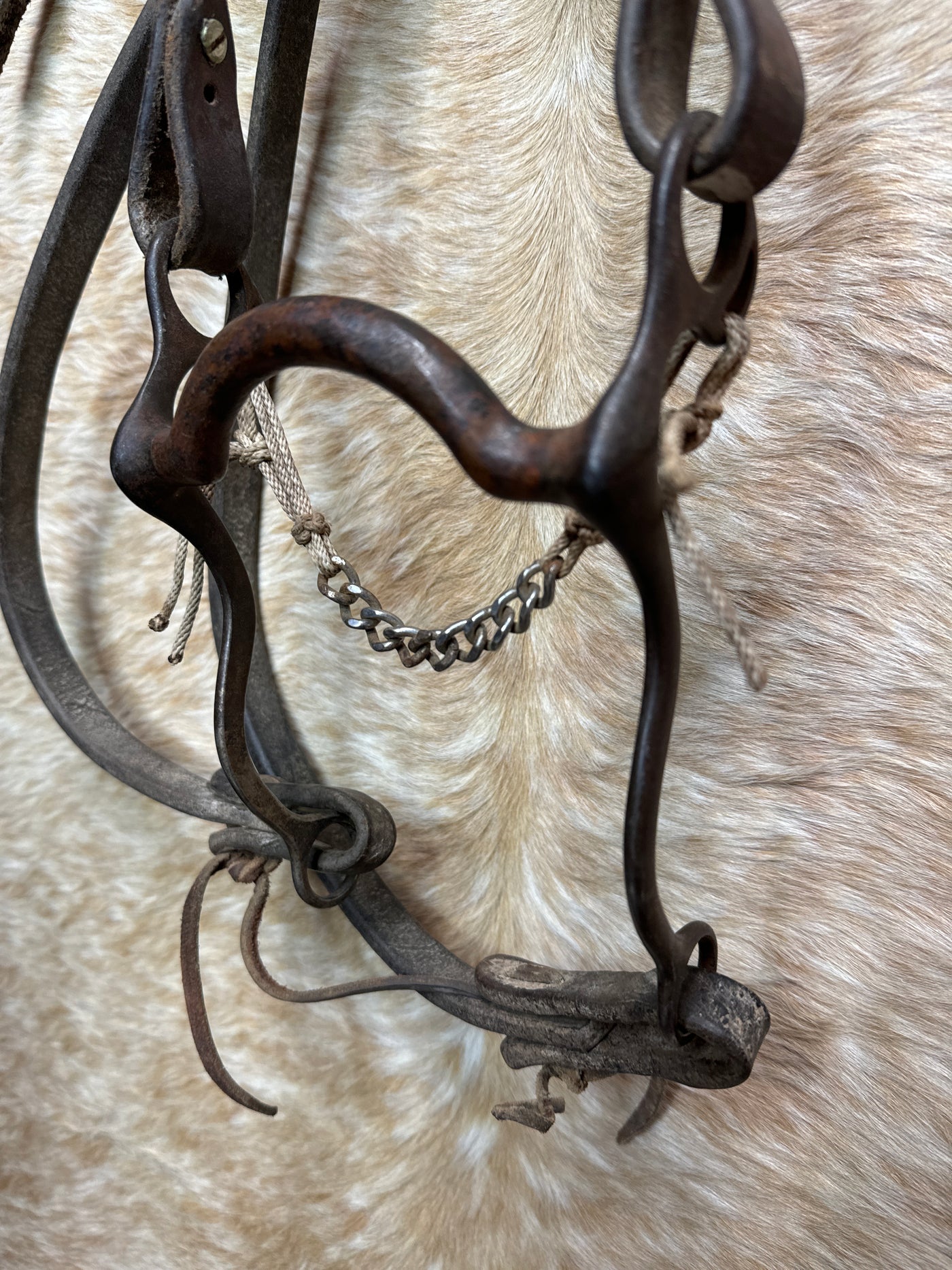 Used One Ear Bridle With Copper Medium Pleasure Port Bit With 3/4" Rein With Weighted End Rein