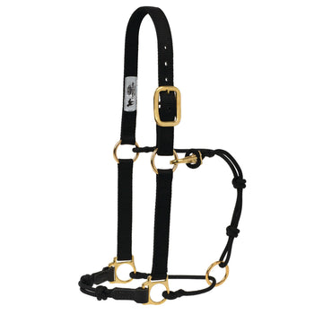 Weaver Kalley Krickeberg Horseman's Halter-Average