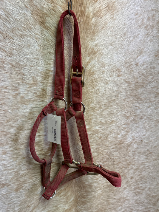 Used Halter