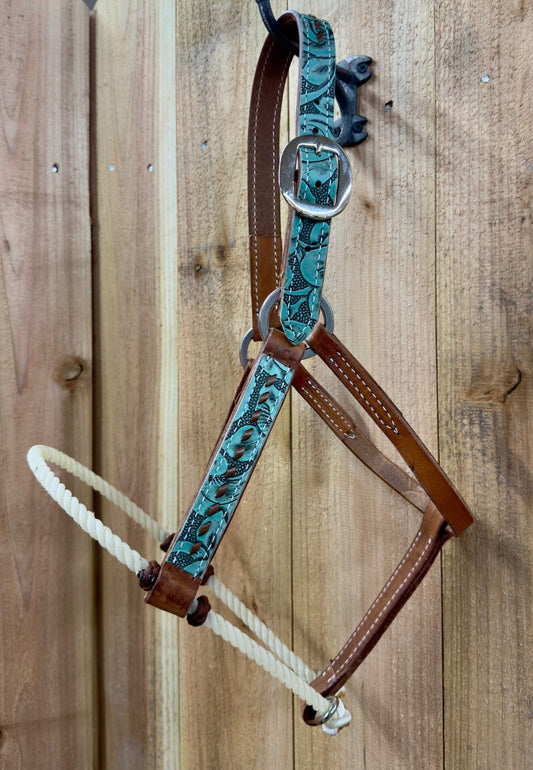 San Saba 1" Floral Print Leather Halter w/Rope Nose and Buckstitch
