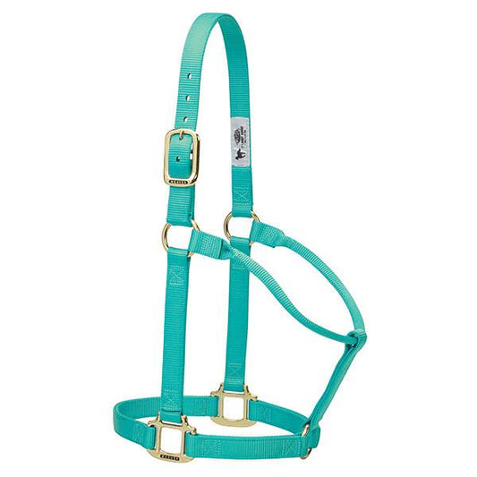 Weaver Original Non-Adjustable Small Nylon Halter-1"