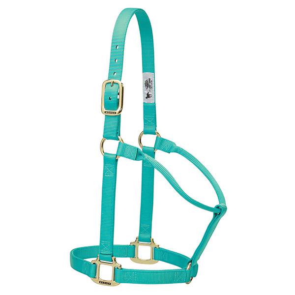 Weaver Original Non-Adjustable Nylon Halter, 1"  Small