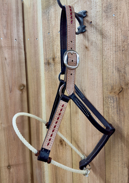 San Saba Rough Out & Buckstitch 1" Chocolate Leather Halter w/Rope Nose