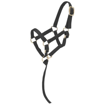 Tough1 Miniature Nylon Halter