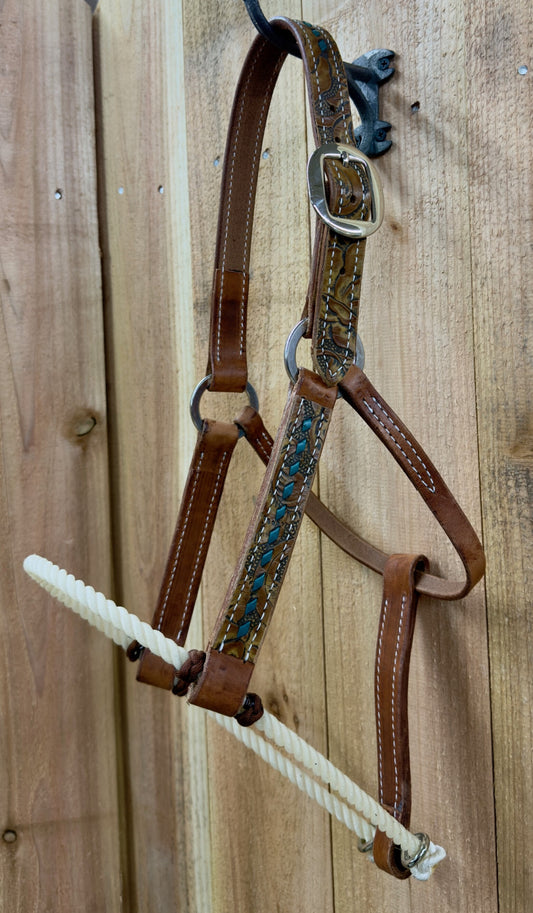 San Saba 1" Floral Print Leather Halter w/Rope Nose and Buckstitch