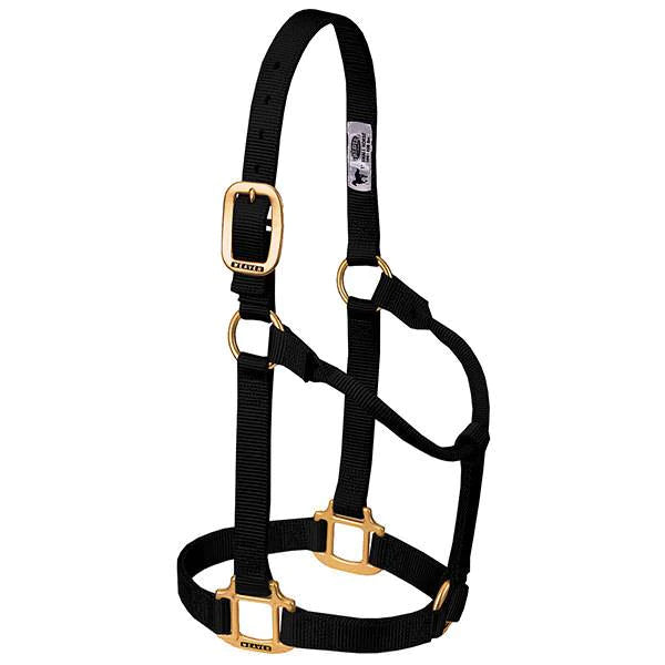 Weaver Original Non-Adjustable Nylon Halter, 1"  Small