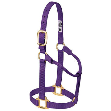 Weaver Original Non-Adjustable Yearling Halter, 1"