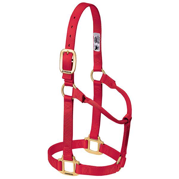Weaver Original Non-Adjustable Nylon Halter, 1"  Small