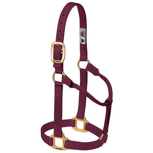 Weaver Original Non-Adjustable Halter, 1" Large