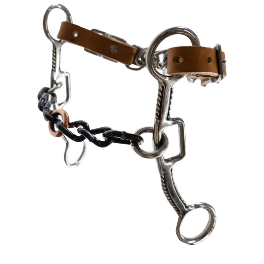 Reinsman Sharon Camarillo Bravo Sweet Iron Draw Chain Bit