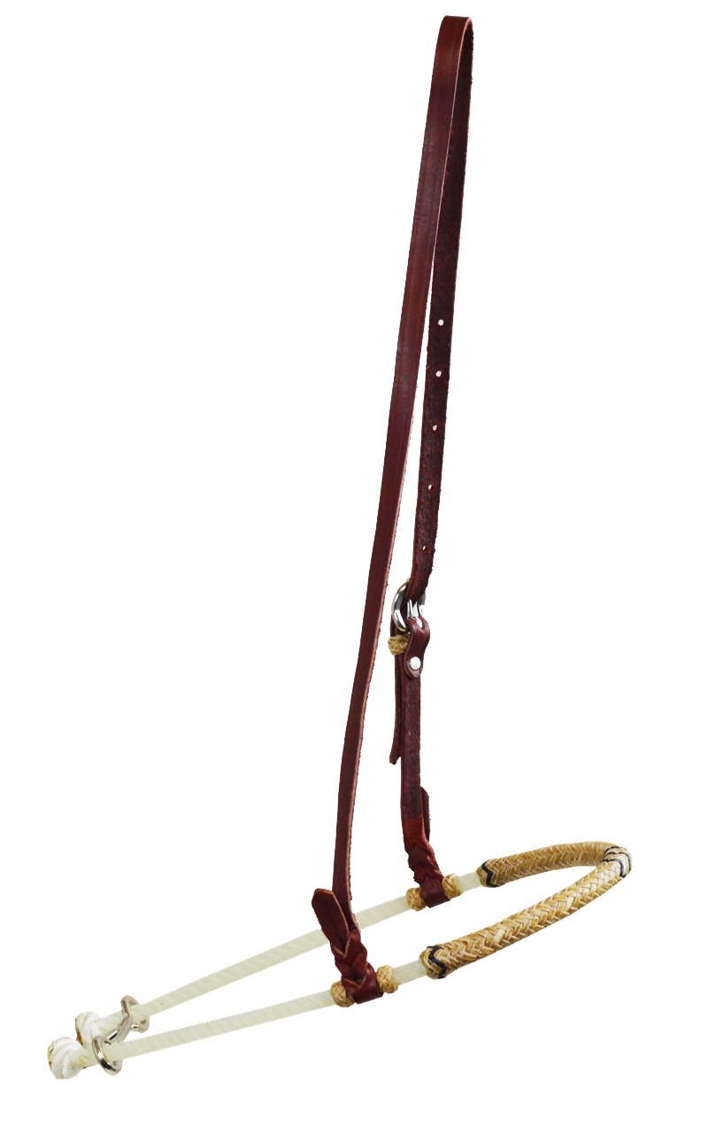 Single Rope Rawhide Tie Down Noseband