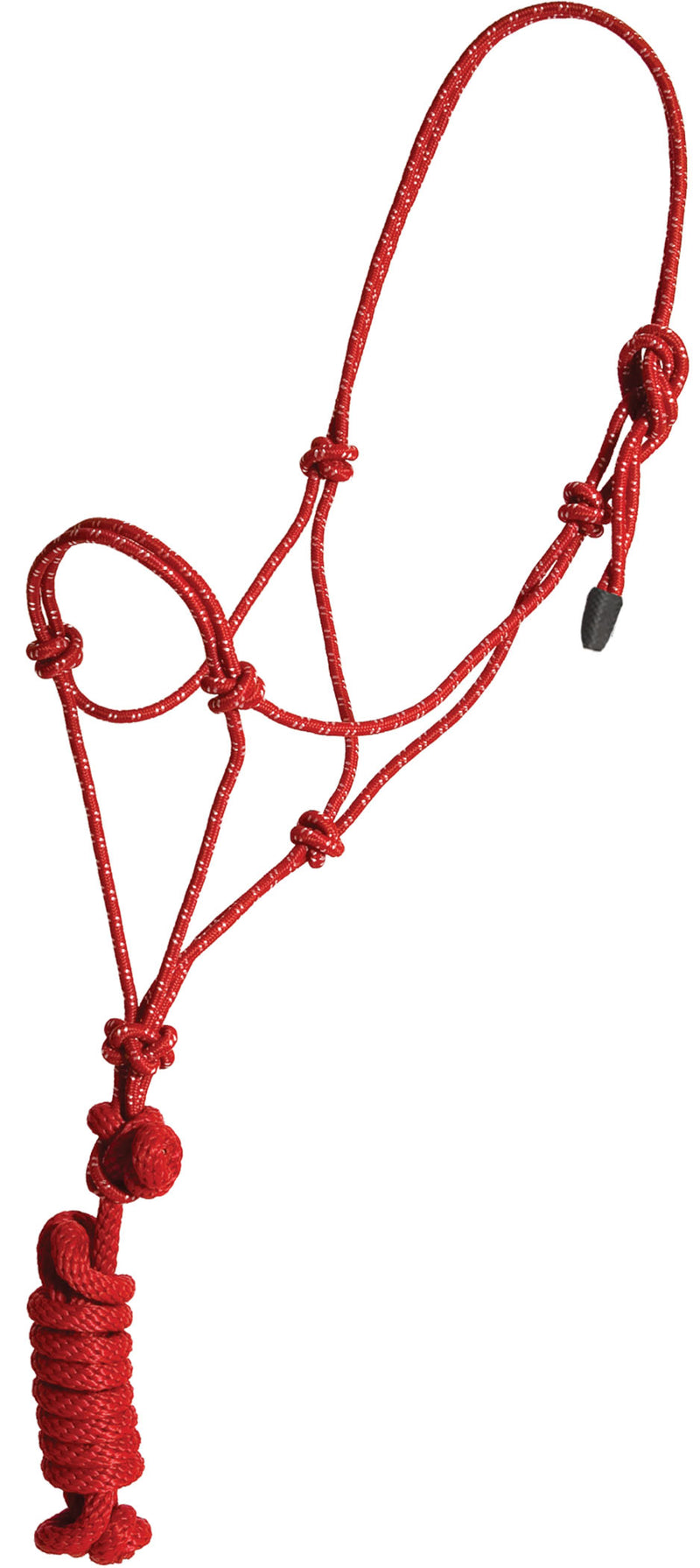 Mustang Economy Regular Horse Mountain Rope Halter and Lead