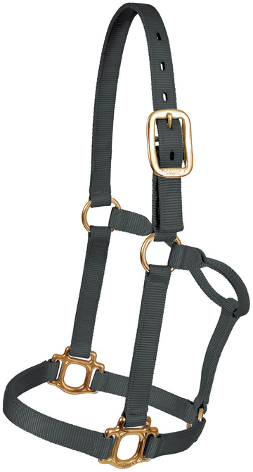 Mustang Traditional Nylon Halter Colt