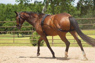 Mustang Balanced Training System