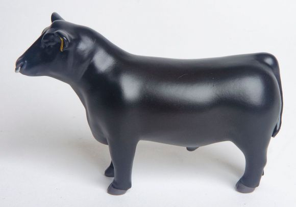 Little Buster Angus Show Bull w/ Nose Ring