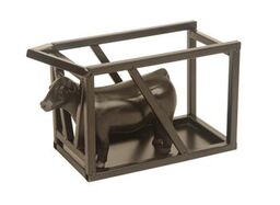 Little Buster Black Show Cattle Clipping Chute