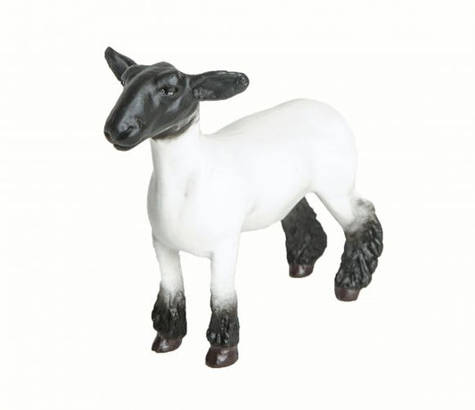Little Buster Champion Crossbred Market Lamb