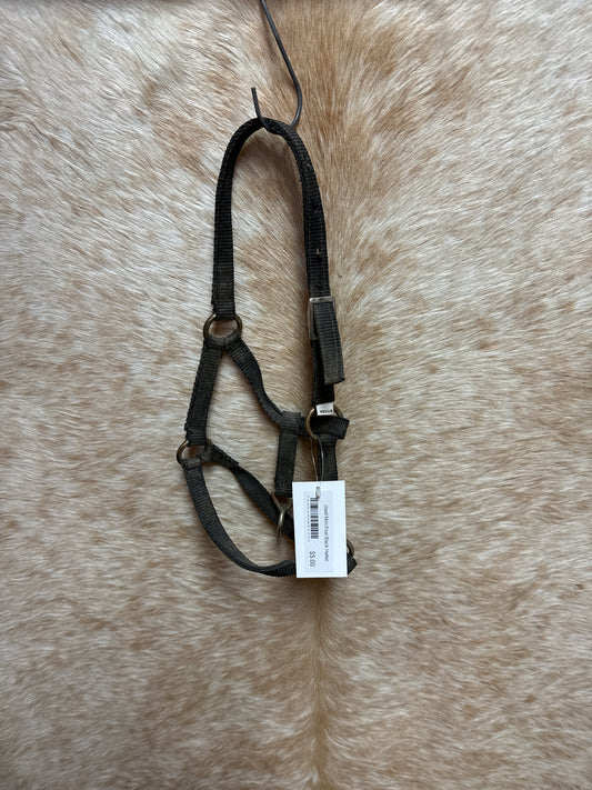 Used Mini/Foal Black Halter