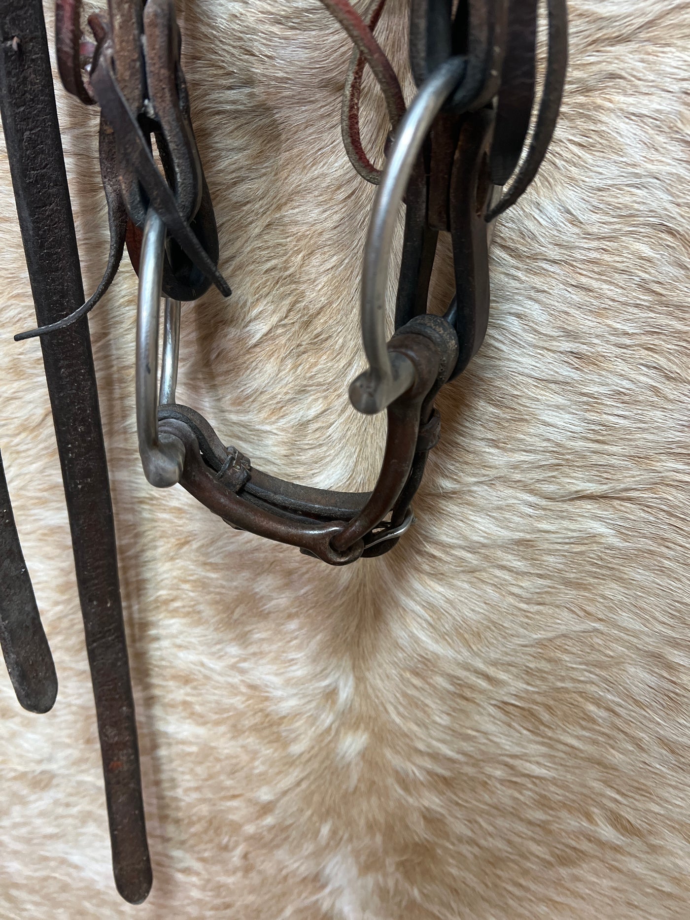 Used Bridle Heavy Harness With 3/4" Split Reins and Offset D Ring Bit