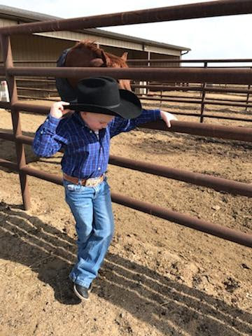 Texas Saddlery Kid's Roughout Spider Combo Belt