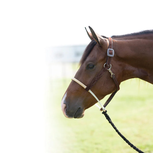 Professional's Choice Chocolate Roughout Leather Halter w/ Double Rawhide Noseband