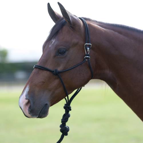 Professional's Choice Easy On Rope Halter