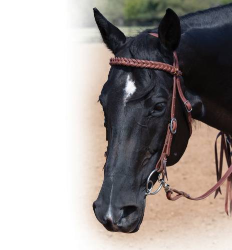 Professional's Choice Ranch 5/8" Bleeding Heart Browband Headstall