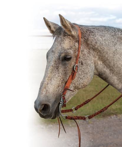 Professional's Choice Tapered Natural Roughout Gunslinger Slit-Ear Headstall