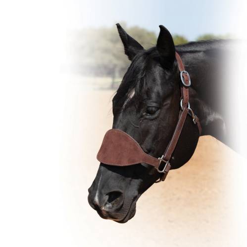 Professional's Choice Chocolate Roughout Bronc Halter
