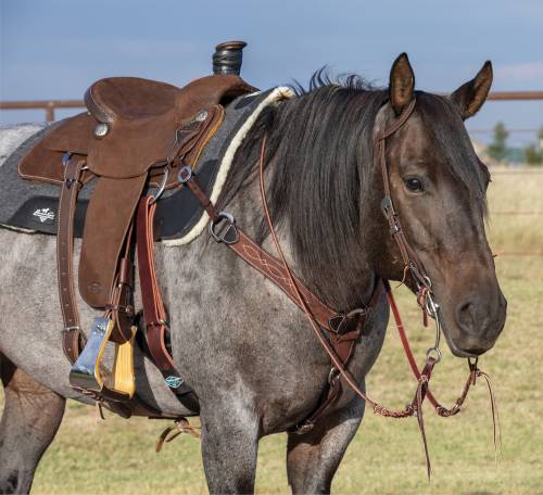 Professional's Choice Chocolate Roughout Gunslinger 2" Contoured Breast Collar
