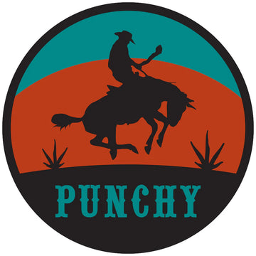 Hooey Punchy Teal / Orange / Black Decal