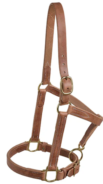 Berlin Custom Leather 1" Horse Halter