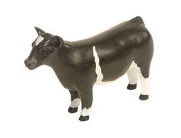 Little Buster Champion Show Steer Cross-Bred Black/White