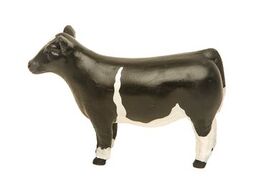 Little Buster Champion Show Steer Cross-Bred Black/White