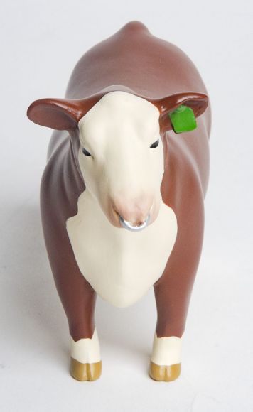 Little Buster Hereford Show Bull w/ Nose Ring