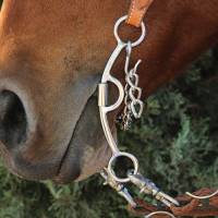 Professional’s Choice Derby Bit 6.75"-Twisted Low Port