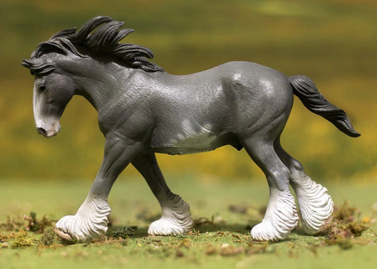 Black Sabino Roan Clydesdale Stallion